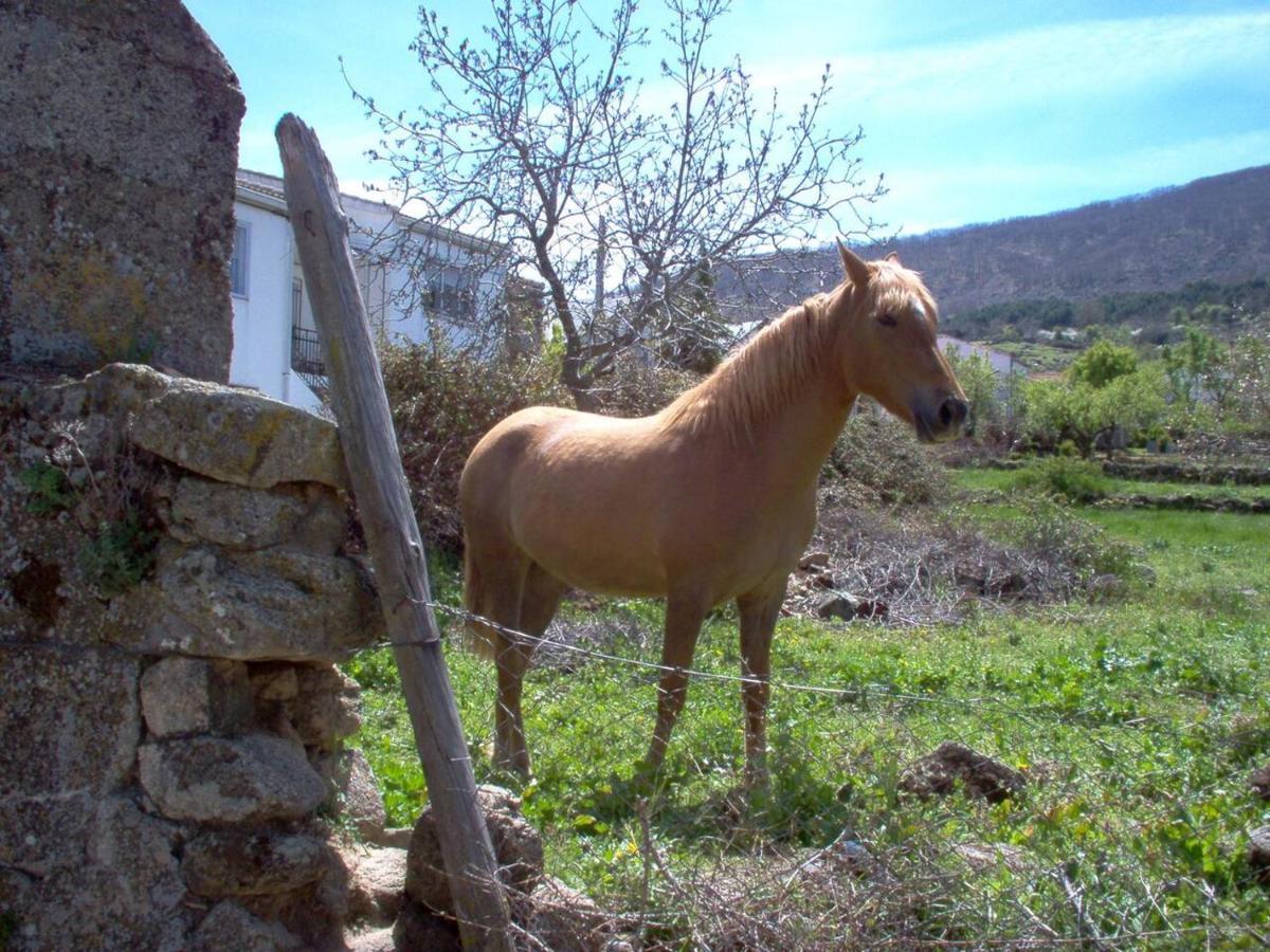 Casa Rural Cristina III San Pablo de los Montes 외부 사진
